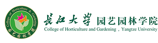 永利集团官方入口